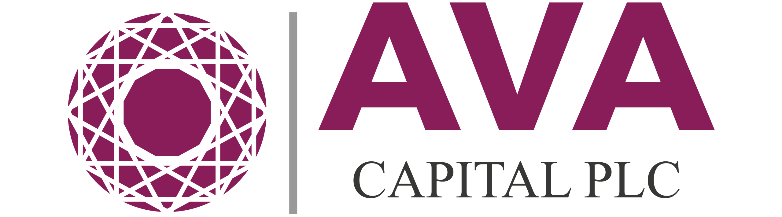 AVA Capital Group